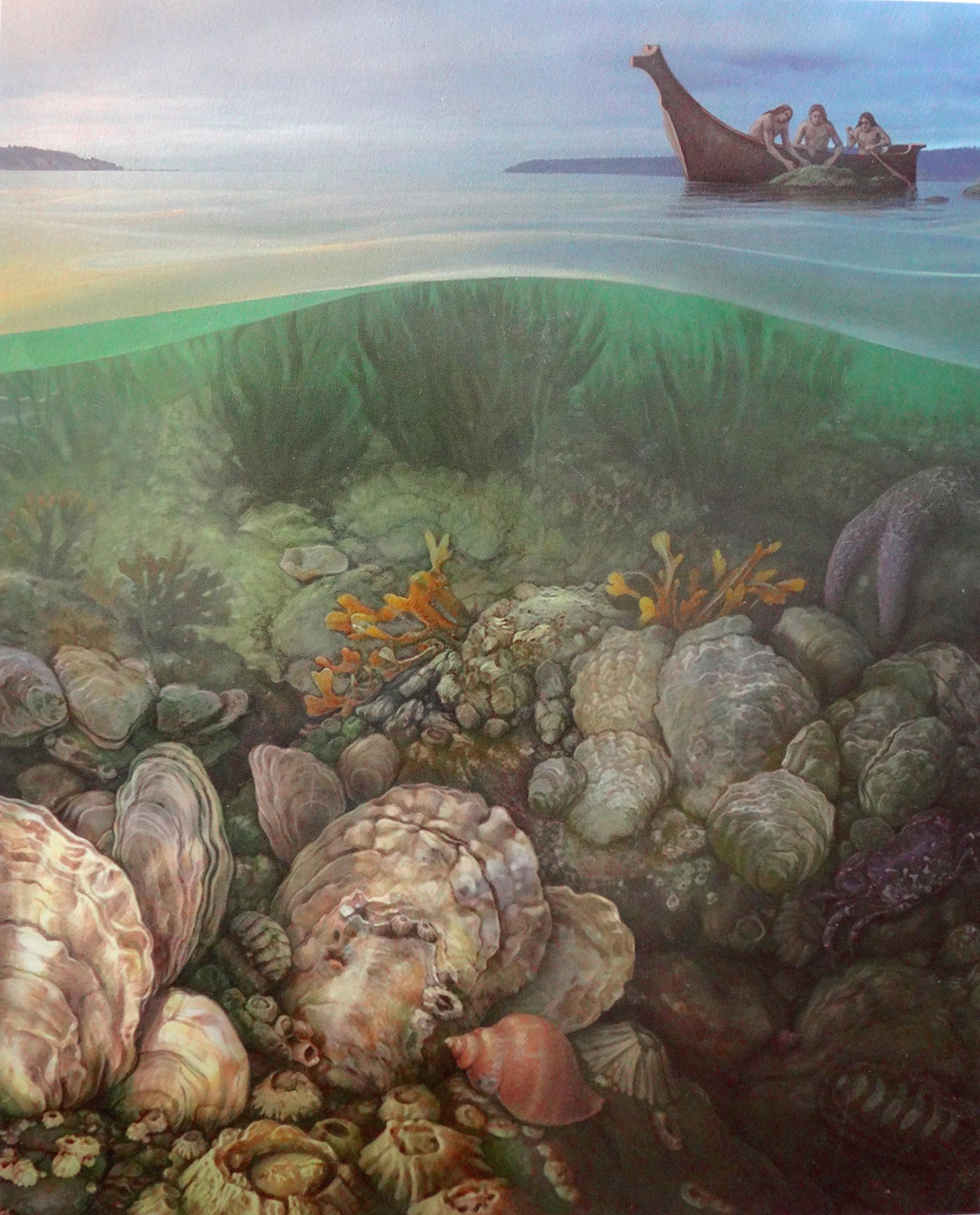 Artist's rendition of healthy oyster beds showing relationship to people and other species.
